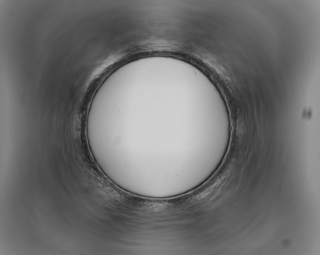 X0000096631309200802261155