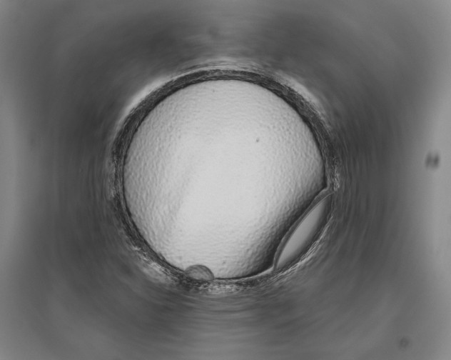 X0000096631310200802261155