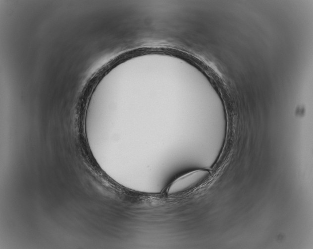 X0000096631311200802261155