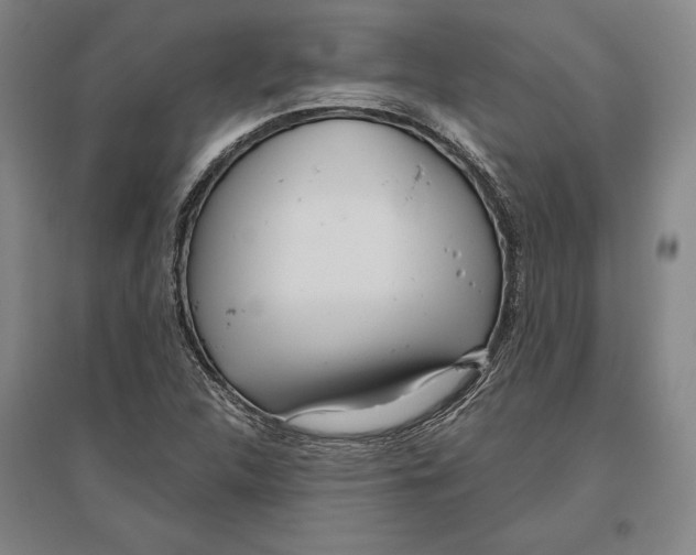 X0000096631312200802261155