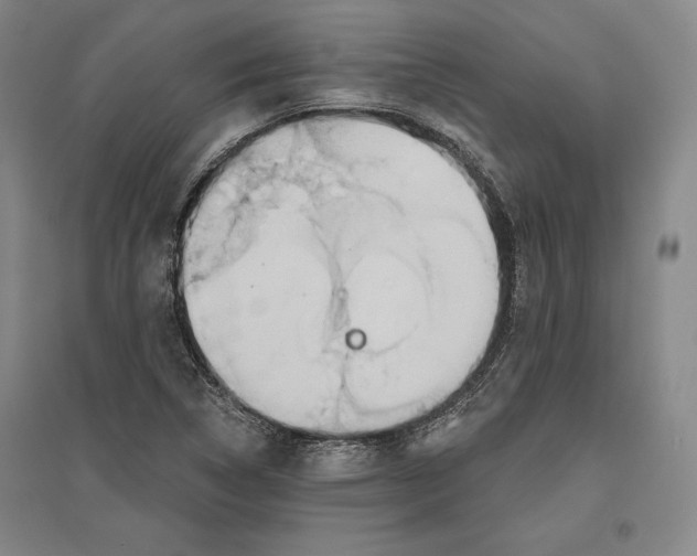 X0000096631314200802261155