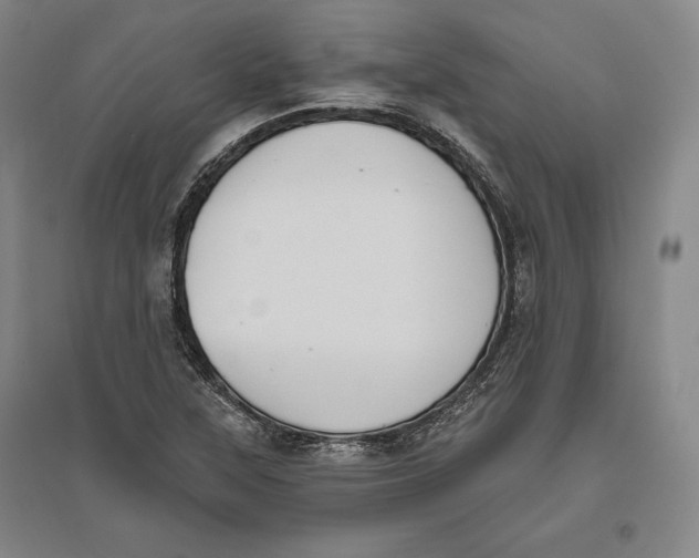X0000096631315200802261155