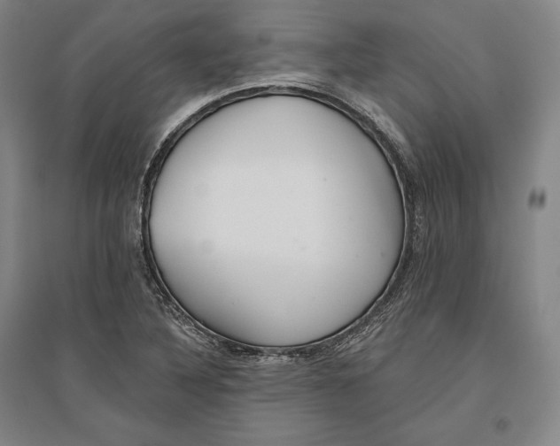 X0000096631316200802261155