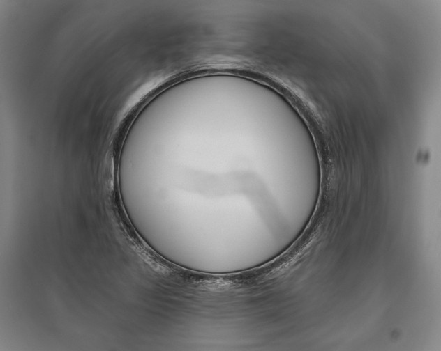 X0000096631317200802261155