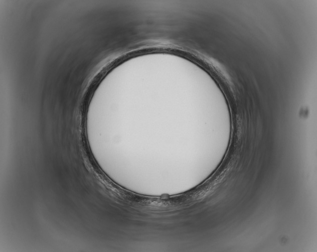 X0000096631318200802261155