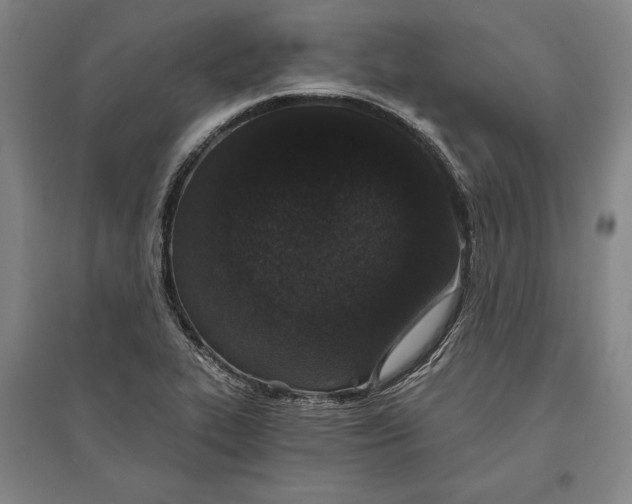 X0000096631319200802261155