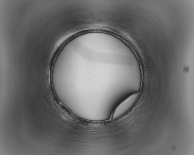 X0000096631320200802261155