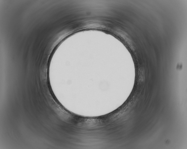 X0000096631322200802261155