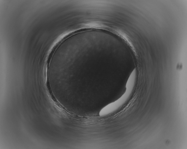 X0000096631323200802261155
