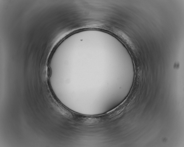 X0000096631324200802261155