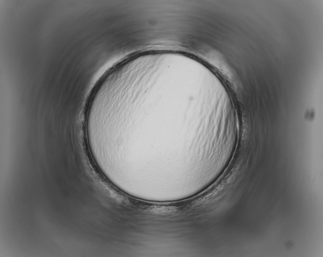 X0000096631325200802261155