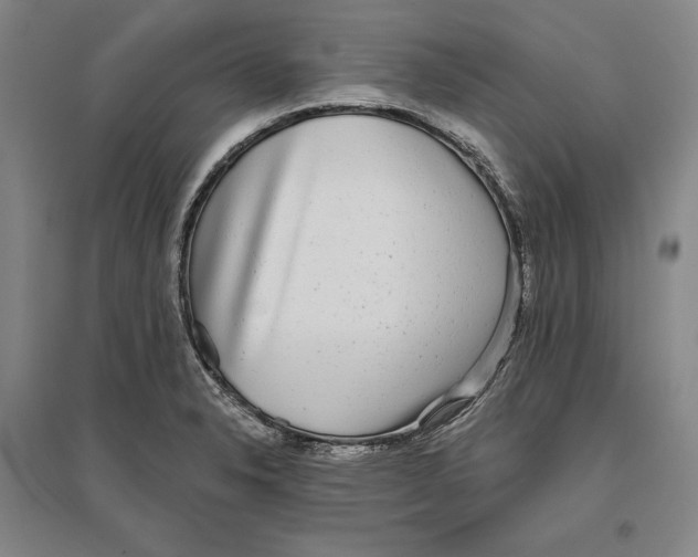 X0000096631326200802261155