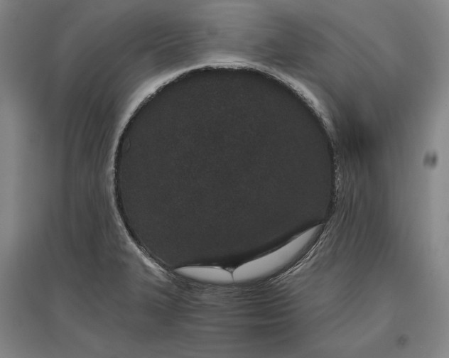X0000096631327200802261155