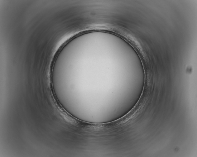 X0000096631328200802261155