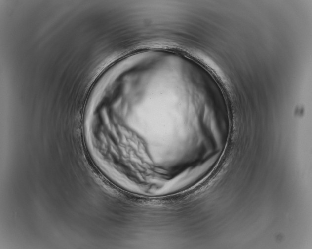 X0000096631329200802261155