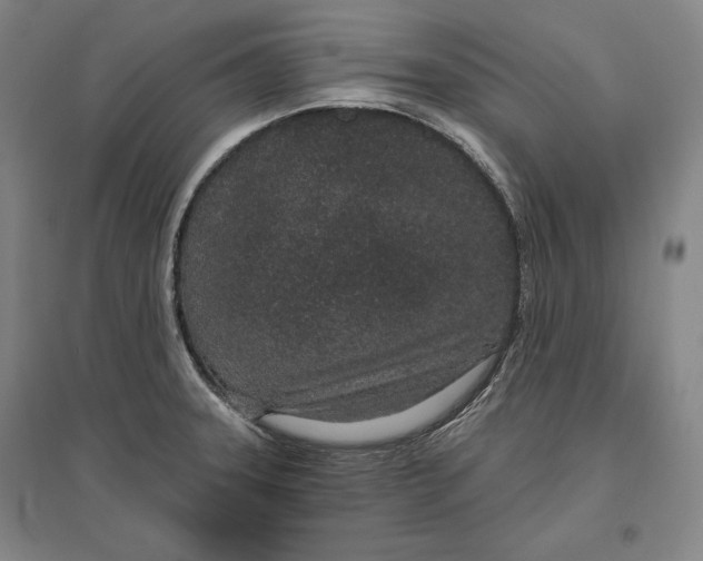 X0000096631331200802261155