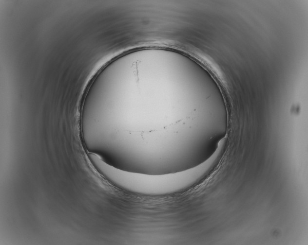 X0000096631332200802261155