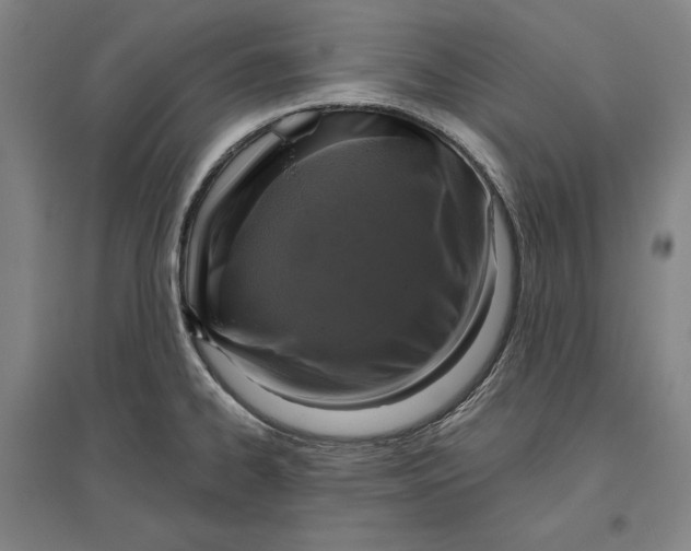 X0000096631334200802261155