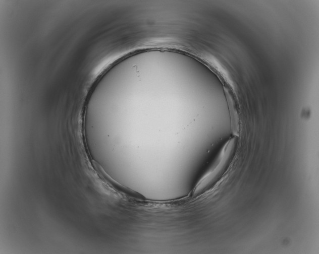 X0000096631336200802261155