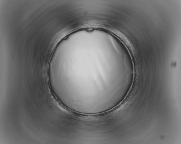 X0000096631337200802261155