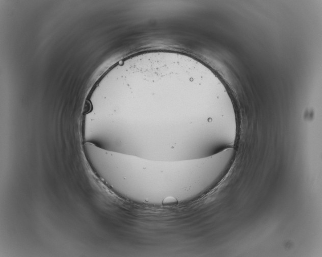 X0000096631338200802261155