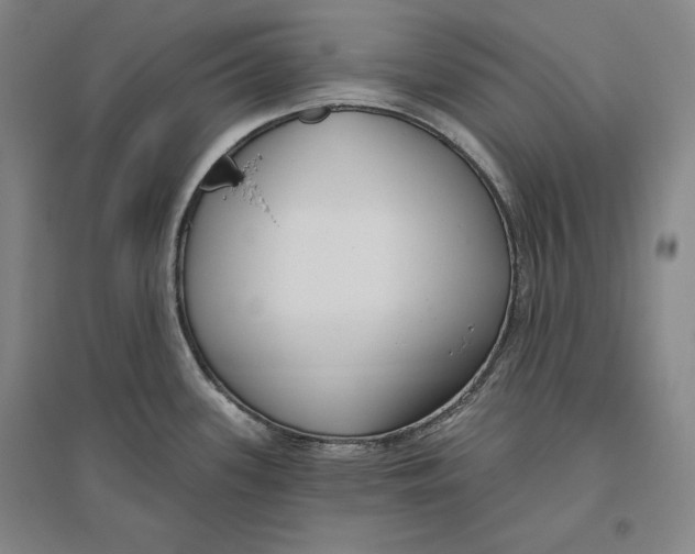 X0000096631339200802261155