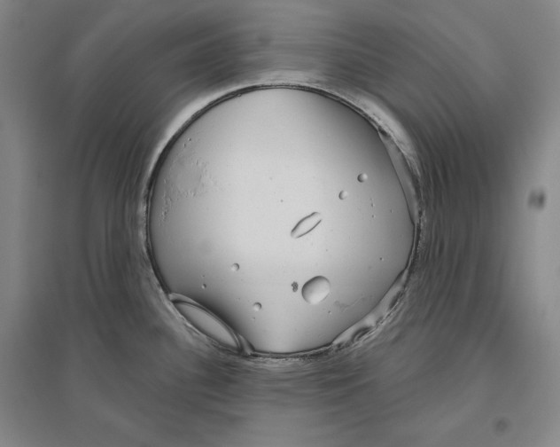 X0000096631340200802261155