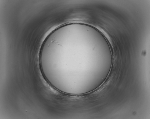X0000096631341200802261155