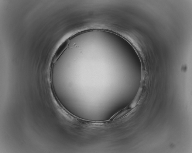 X0000096631342200802261155