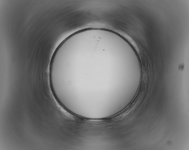 X0000096631343200802261155