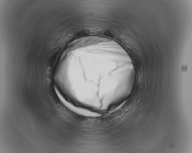X0000096631346200802261155