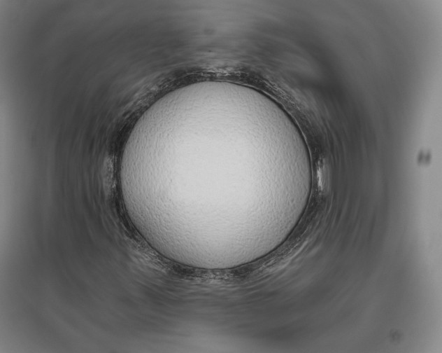 X0000096631347200802261155