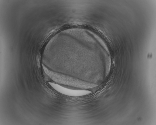 X0000096631348200802261155
