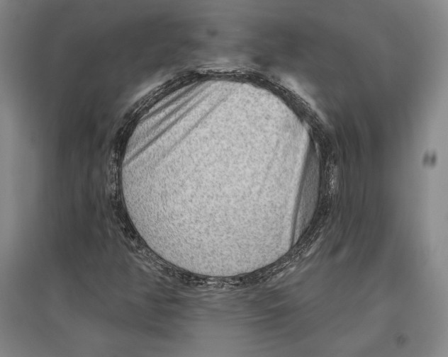 X0000096631350200802261155