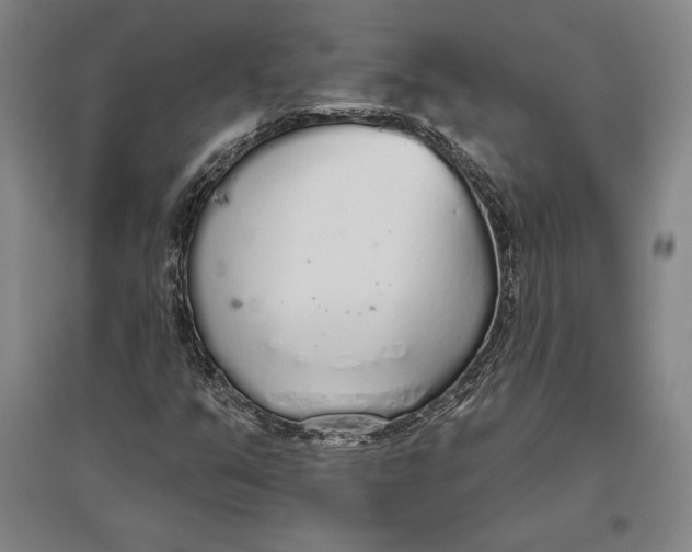 X0000096631351200802261155