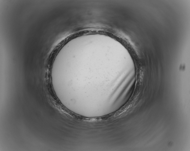 X0000096631352200802261155