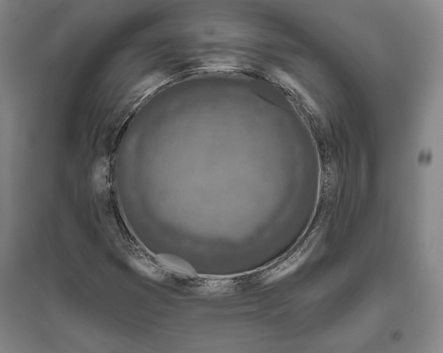 X0000096631353200802261155
