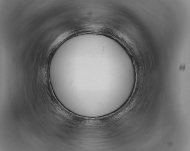 X0000096631354200802261155
