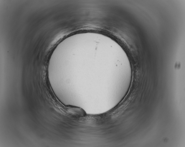 X0000096631355200802261155