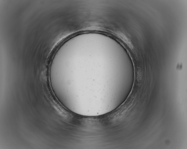 X0000096631356200802261155