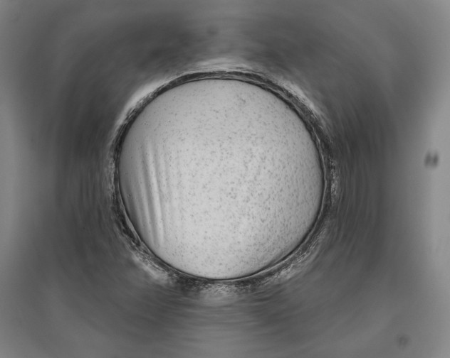 X0000096631358200802261155