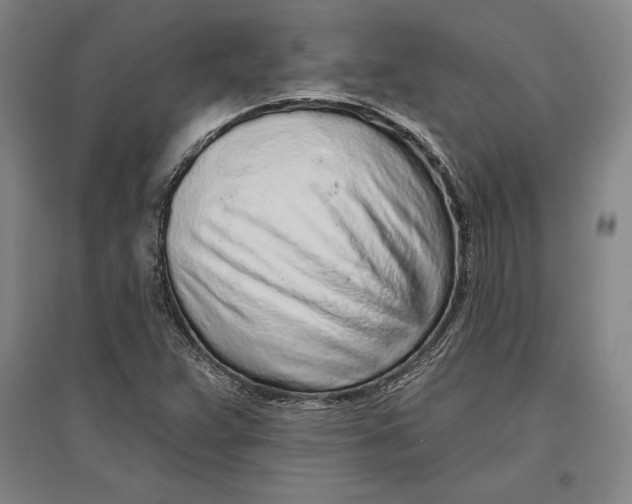 X0000096631359200802261155
