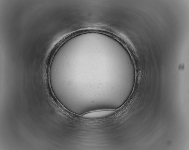 X0000096631360200802261155