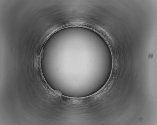 X0000096631361200802261155