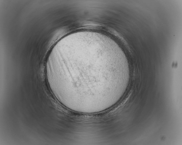 X0000096631362200802261155