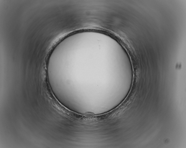 X0000096631363200802261155