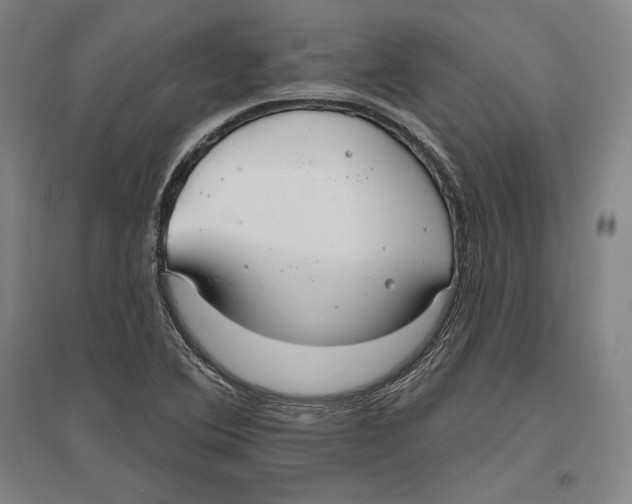 X0000096631364200802261155