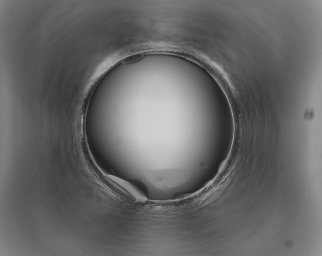 X0000096631365200802261155