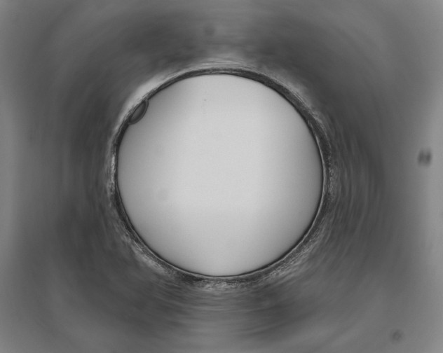 X0000096631366200802261154