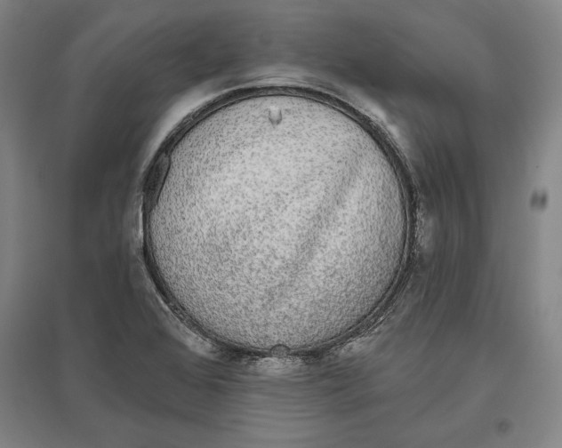 X0000096631368200802261154